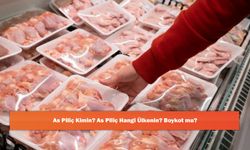 As Piliç Kimin? As Piliç Hangi Ülkenin? Boykot mu?