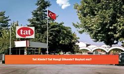 Tat Kimin? Tat Hangi Ülkenin? Boykot mu?