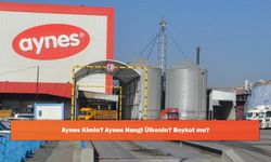 Aynes Kimin? Aynes Hangi Ülkenin? Boykot mu?