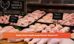 Bupiliç Kimin? Bupiliç Hangi Ülkenin? Boykot mu?