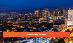 Bursa'da Kaç Köy Var?
