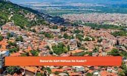 Bursa'da Kürt Nüfusu Ne Kadar?