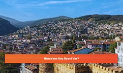 Bursa'nın Kaç İlçesi Var?