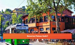 Bursa'nın Plakası Nedir?