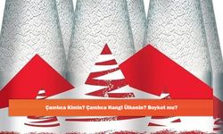 Çamlıca Kimin? Çamlıca Hangi Ülkenin? Boykot mu?