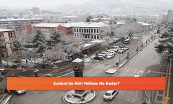 Çankırı'da Kürt Nüfusu Ne Kadar?
