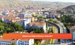 Çankırı'ya Özgü Kelimeler Nelerdir?