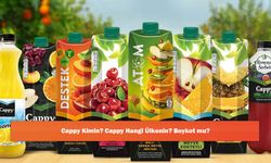 Cappy Kimin? Cappy Hangi Ülkenin? Boykot mu?