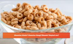 Cheerios Kimin? Cheerios Hangi Ülkenin? Boykot mu?