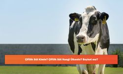 Çiftlik Süt Kimin? Çiftlik Süt Hangi Ülkenin? Boykot mu?