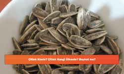 Çitlek Kimin? Çitlek Hangi Ülkenin? Boykot mu?