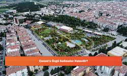 Çorum'a Özgü Kelimeler Nelerdir?