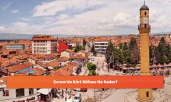 Çorum'da Kürt Nüfusu Ne Kadar?