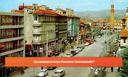 Çorumluların Soyu Nereden Gelmektedir?