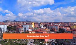 Çorum'un Kaç İlçesi Var?