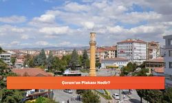 Çorum'un Plakası Nedir?