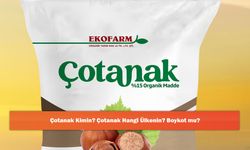 Çotanak Kimin? Çotanak Hangi Ülkenin? Boykot mu?