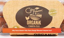 City Farm Kimin? City Farm Hangi Ülkenin? Boykot mu?