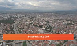Denizli'de Kaç Köy Var?