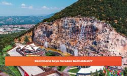 Denizlilerin Soyu Nereden Gelmektedir?