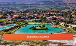Denizli'nin Kaç İlçesi Var?