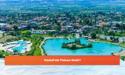 Denizli'nin Plakası Nedir?
