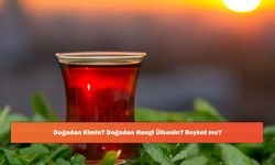 Doğadan Kimin? Doğadan Hangi Ülkenin? Boykot mu?