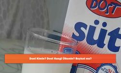 Dost Kimin? Dost Hangi Ülkenin? Boykot mu?