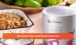 Efsina Kimin? Efsina Hangi Ülkenin? Boykot mu?