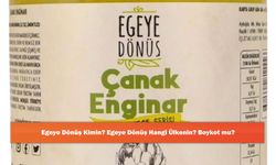 Egeye Dönüş Kimin? Egeye Dönüş Hangi Ülkenin? Boykot mu?