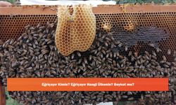 Eğriçayır Kimin? Eğriçayır Hangi Ülkenin? Boykot mu?
