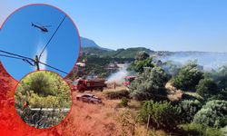 Antalya'da zirai alanda korkutan yangın!