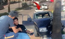 Antalya'da palmiyeye çarpan otomobilde can pazarı: 4 genç yaralandı