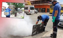 Antalya’da 19 ilçede ilaçlama çalışmaları sürüyor