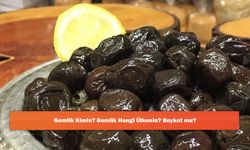 Gemlik Kimin? Gemlik Hangi Ülkenin? Boykot mu?