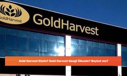 Gold Harvest Kimin? Gold Harvest Hangi Ülkenin? Boykot mu?