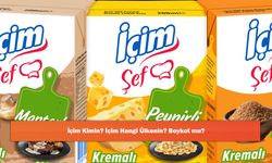 İçim Kimin? İçim Hangi Ülkenin? Boykot mu?