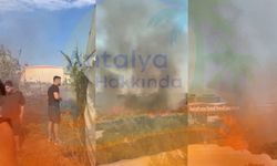 Antalya'da korkutan yangın! Seralar zarar gördü