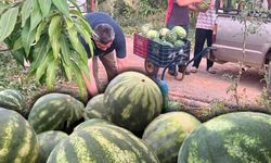 Antalyalı üretici yurt ve kurslara 10 ton karpuz bağışladı