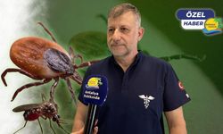 Antalya'da kene ve sivrisinek alarmı! "Artık çok geç, uçtuktan sonra işe yaramıyor!"