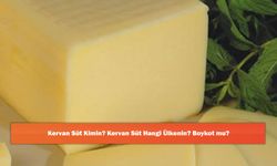 Kervan Süt Kimin? Kervan Süt Hangi Ülkenin? Boykot mu?