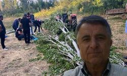 Isparta'da feci ölüm: Kestiği ağacın altında can verdi!