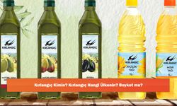 Kırlangıç Kimin? Kırlangıç Hangi Ülkenin? Boykot mu?