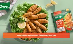 Knorr Kimin? Knorr Hangi Ülkenin? Boykot mu?