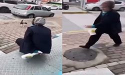 Kedinin yüzüne yağ çözücü sıkan market çalışanına ödül gibi ceza!