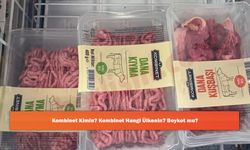 Kombinet Kimin? Kombinet Hangi Ülkenin? Boykot mu?