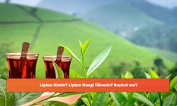 Lipton Kimin? Lipton Hangi Ülkenin? Boykot mu?