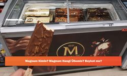 Magnum Kimin? Magnum Hangi Ülkenin? Boykot mu?