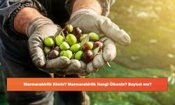 Marmarabirlik Kimin? Marmarabirlik Hangi Ülkenin? Boykot mu?