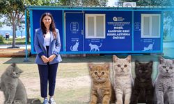 Antalya'da Mobil Kısırlaştırma Ünitesi hizmete geçti